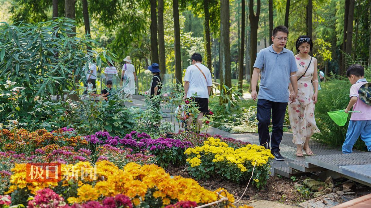 新百易教育官网